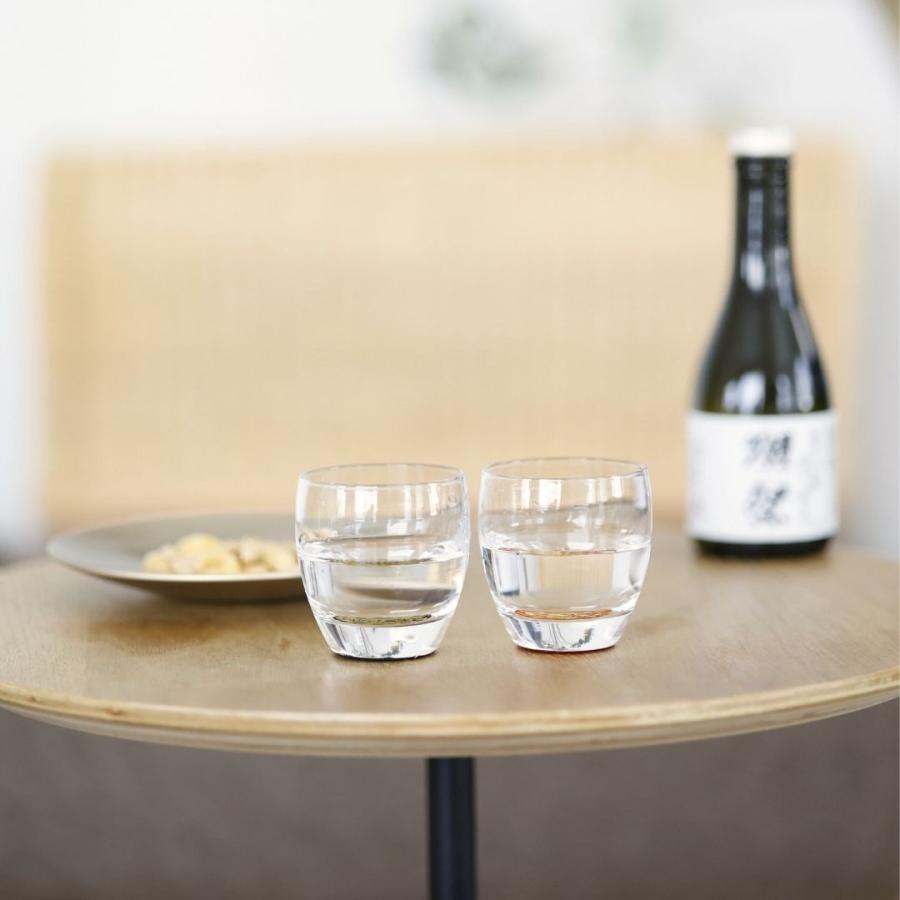 銀河 冷酒グラス ペア 越前漆器 日本製 酒器 日本酒 おちょこ ガラス