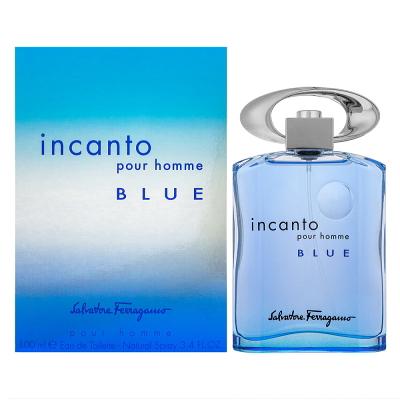 並行輸入品 サルヴァトーレ フェラガモ Ferragamo インカント プールオム ブルー EDT SP 100ml 【香水】【あすつく】（Yahoo!・香水カンパニー）