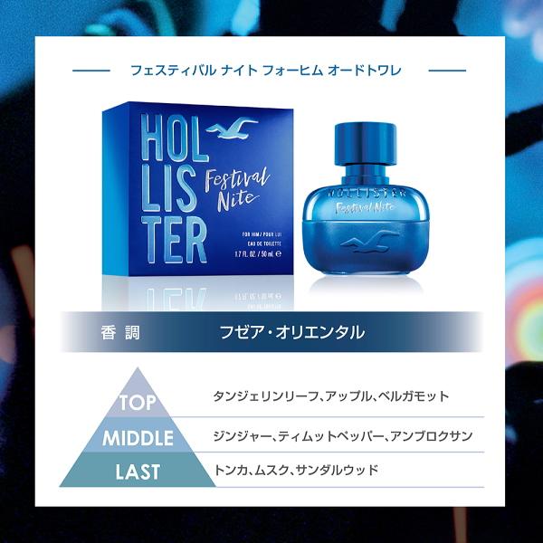 Hollister 並行輸入品 ホリスター HOLLISTER フェスティバル ナイト
