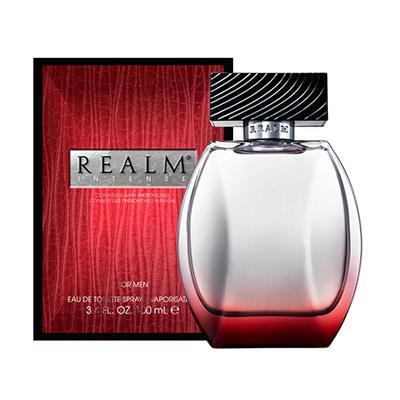レルム（REALM） 並行輸入品 インテンス フォーメン EDT SP 100ml