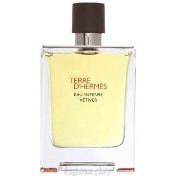 エルメス HERMES テール ド エルメス オーインテンス ベチバー 100ml EDP テスター fs 【香水】【あすつく】｜kousuimonogatari-ys