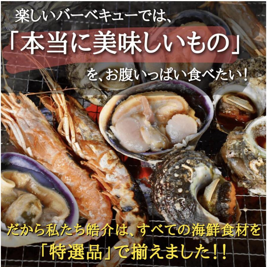 海鮮BBQセット松コース(8種80品)特大 鯛の塩釜付きバーベキューセット 大人数向け 豪華海鮮の詰め合わせ セット 高級浜焼き 送料無料 ギフト対応可能の画像