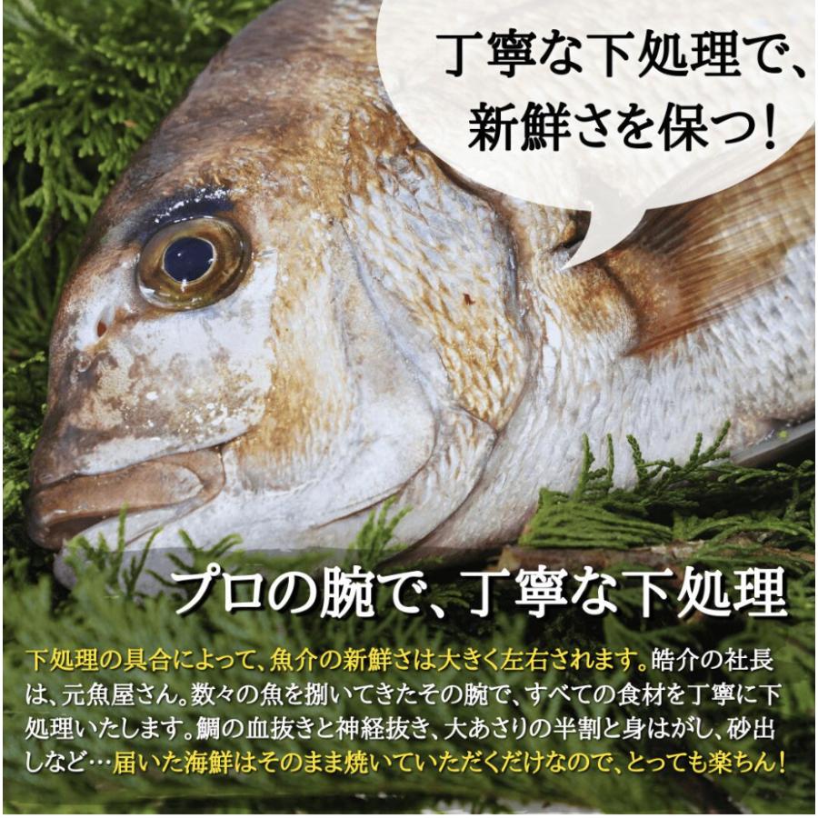 海鮮BBQセット松コース(8種80品)特大 鯛の塩釜付きバーベキューセット 大人数向け 豪華海鮮の詰め合わせ セット 高級浜焼き 送料無料 ギフト対応可能の画像