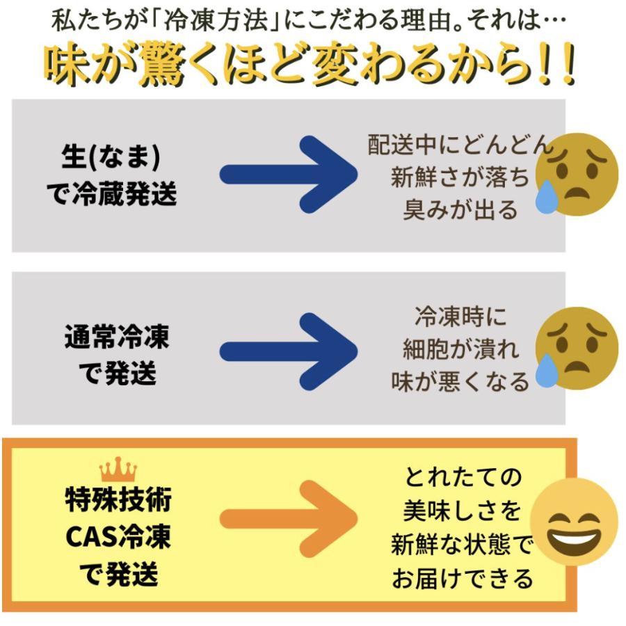 海鮮BBQセット松コース(8種80品)特大 鯛の塩釜付きバーベキューセット 大人数向け 豪華海鮮の詰め合わせ セット 高級浜焼き 送料無料 ギフト対応可能の画像