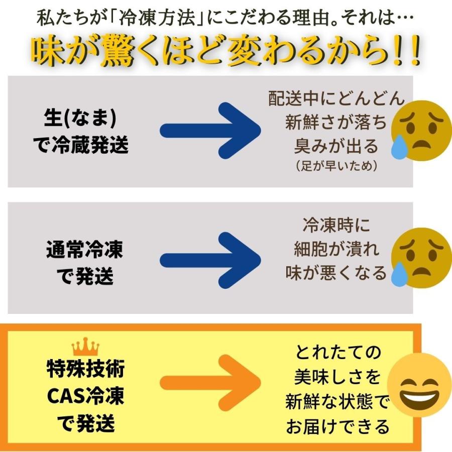 送料無料・サイズを選べる特選大あさり1kg 【だし醤油1本(420円相当)プレゼ ント】国産（愛知県三河湾産）特大天然大アサリ CAS冷凍 海鮮バーベキュー ギフト |  | 08