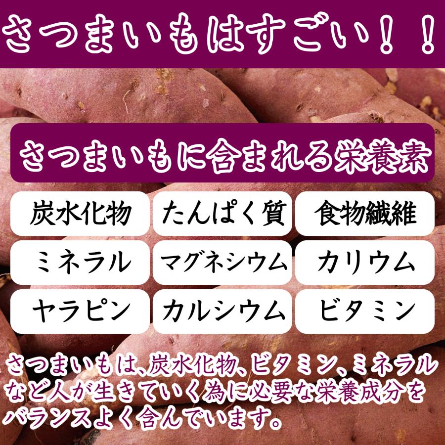 幸田商店 [べにはるかスティックほしいも500ｇ×2袋]（1kg）  茨城県産 数量限定 紅はるか 国産 干し芋 干しいも 乾燥芋｜koutashouten｜04
