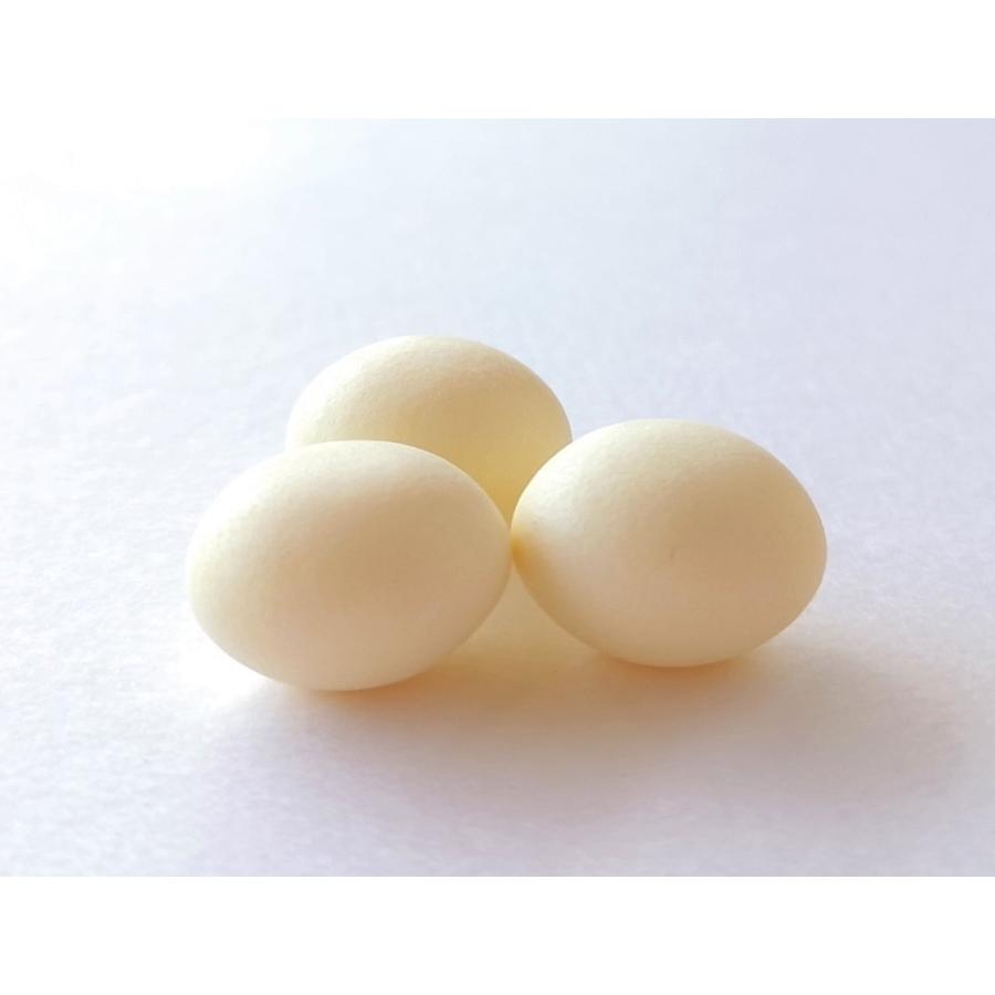 シイビー21世紀葉酸プラス400μg　葉酸　1日1粒　60粒　食べるビタミン　美味しく摂れるビタミン　栄養補助食品 |  | 01