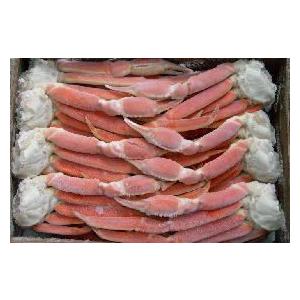沸騰させる本ズワイガニ脚２Ｌ５ｋｇ（18〜22肩入）カナダ産 魚介類、海産物-食品-カニ