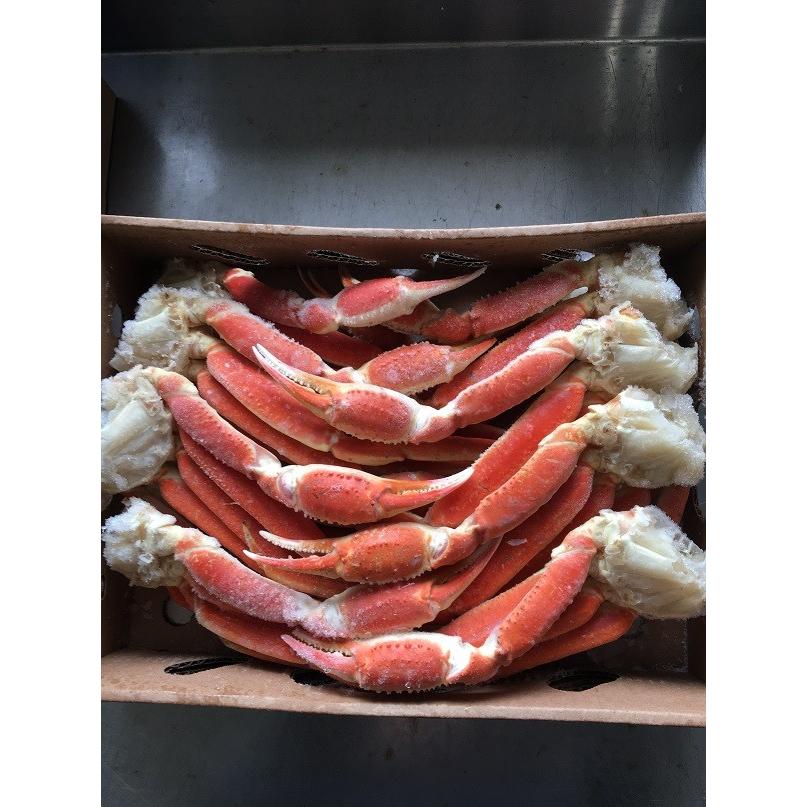 ボイル本ズワイガニ脚3L3kg（10〜12肩入）カナダ産 : 光徳 - 通販