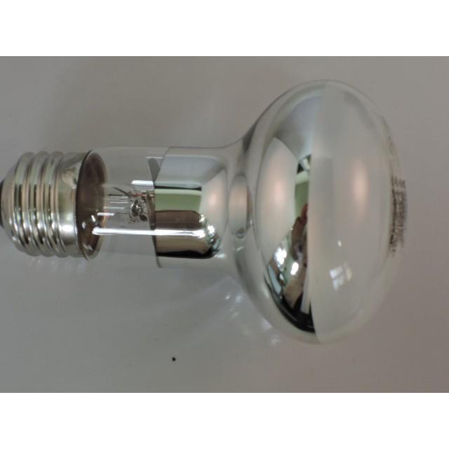Panasonic（パナソニック） レフ電球 60W形 RF100V54WD