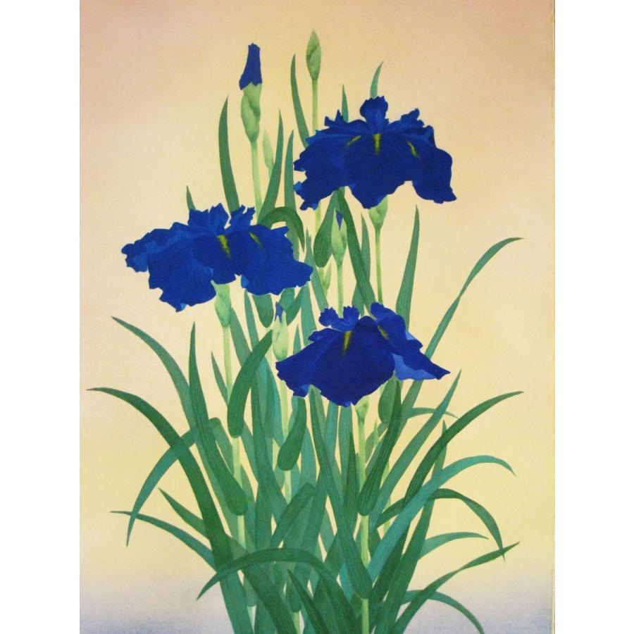 掛け軸 掛軸 菖蒲(しょうぶ) 浅井新明 (真作・新品) : 掛け軸の