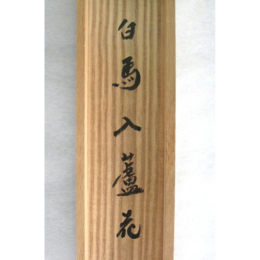 真筆】茶掛け 茶掛 白馬入蘆花 大徳寺 塔頭黄梅院 住職 小林太玄 (中古
