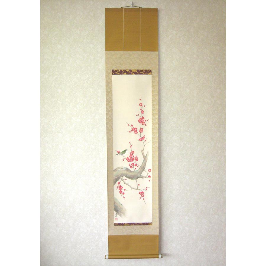 掛け軸 掛軸 紅梅に鴬 藤田春穂 (真筆・新品) 九寸立 共箱・タトウ箱付