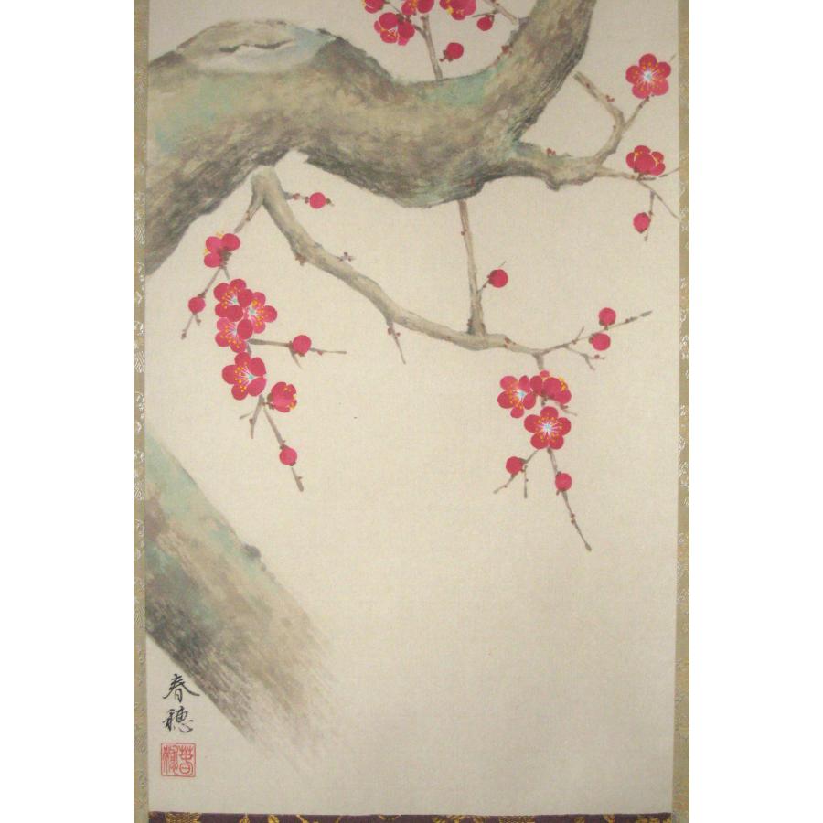 掛け軸 掛軸 紅梅に鴬 藤田春穂 (真筆・新品) 九寸立 共箱・タトウ箱付