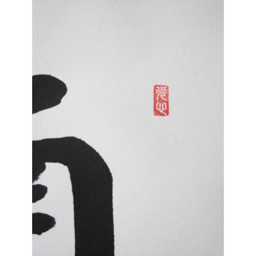 掛け軸 掛軸 釈迦名号 南無釈迦牟尼仏 大石光雲 (真筆・新品)_4