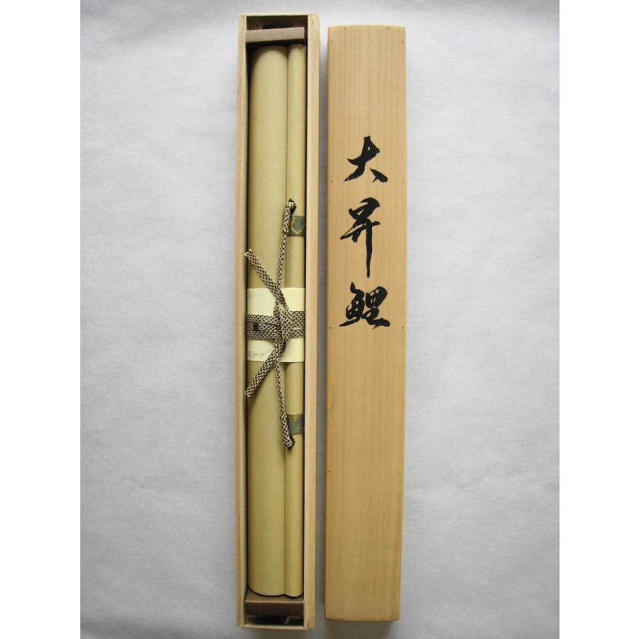 掛け軸 掛軸 大昇鯉(だいしょうり) 恩田三澄 (真作・新品) : 掛け軸の