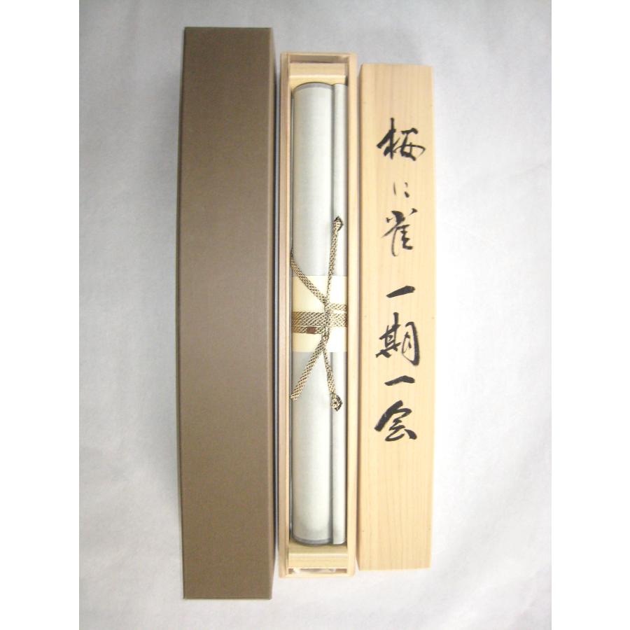 ミニ掛け軸　桜(さくら)◆絵師 白道 (真筆・新品) タペストリー ミニ掛け軸 桜(さくら)◇絵師 白道 (真筆・新品) タペストリー