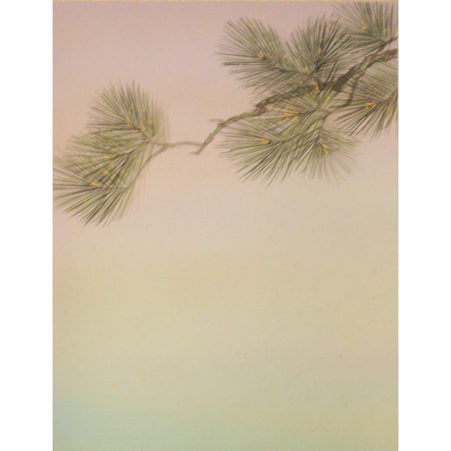 掛け軸 掛軸 松鯉(しょうり) 川島正行 (真作・新品) : 掛け軸の専門店