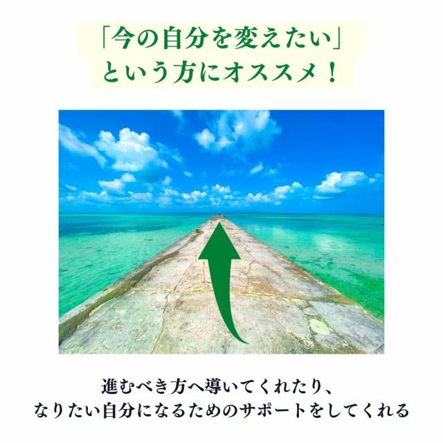 アメジスト さざれ石 原石 パワーストーン 天然石 紫水晶 置物 誕生石