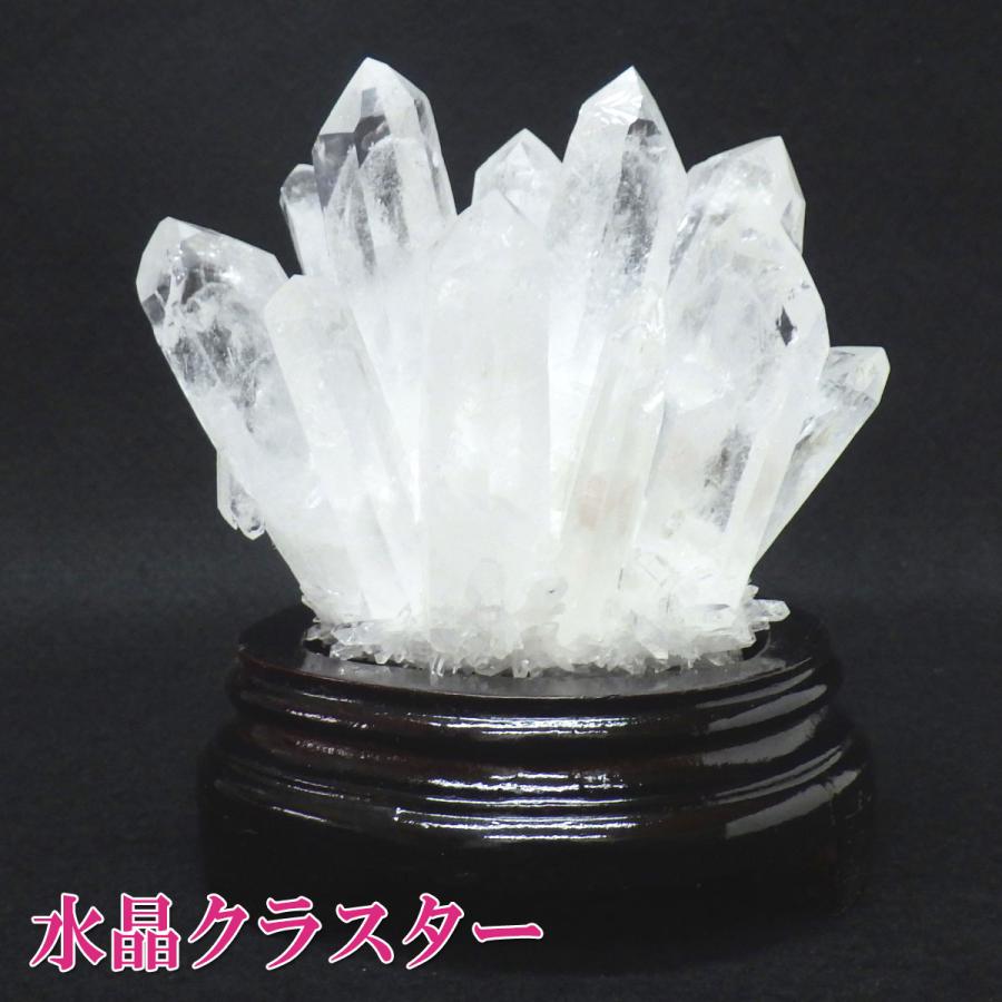 SNSで話題 最短翌日お届け cryp1253g [cryp1253g]