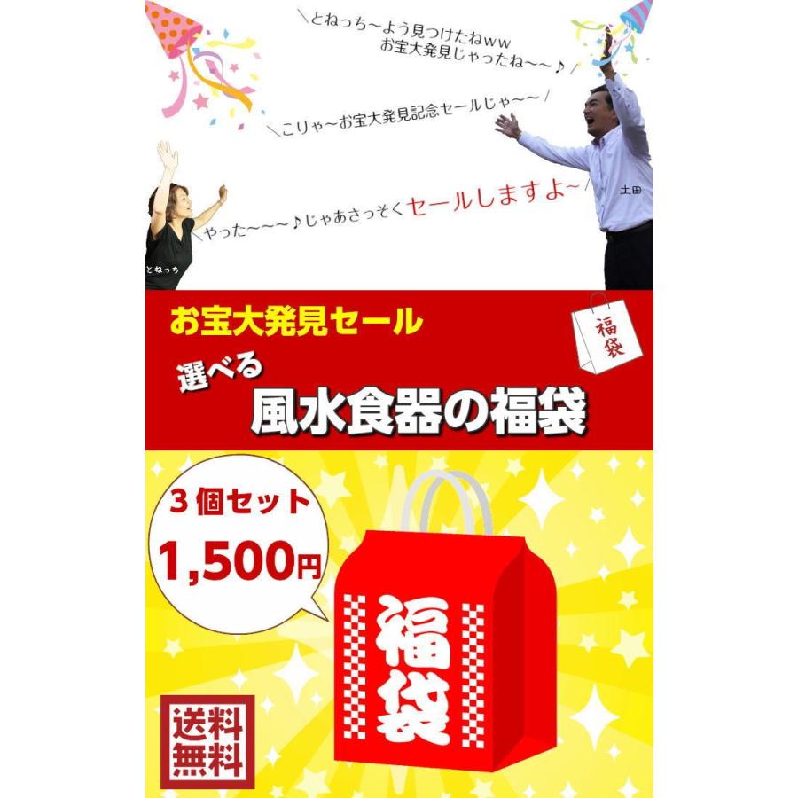 開運 ポイント消化 (訳アリ 返品・交換不可)選べる 風水 食器 3個