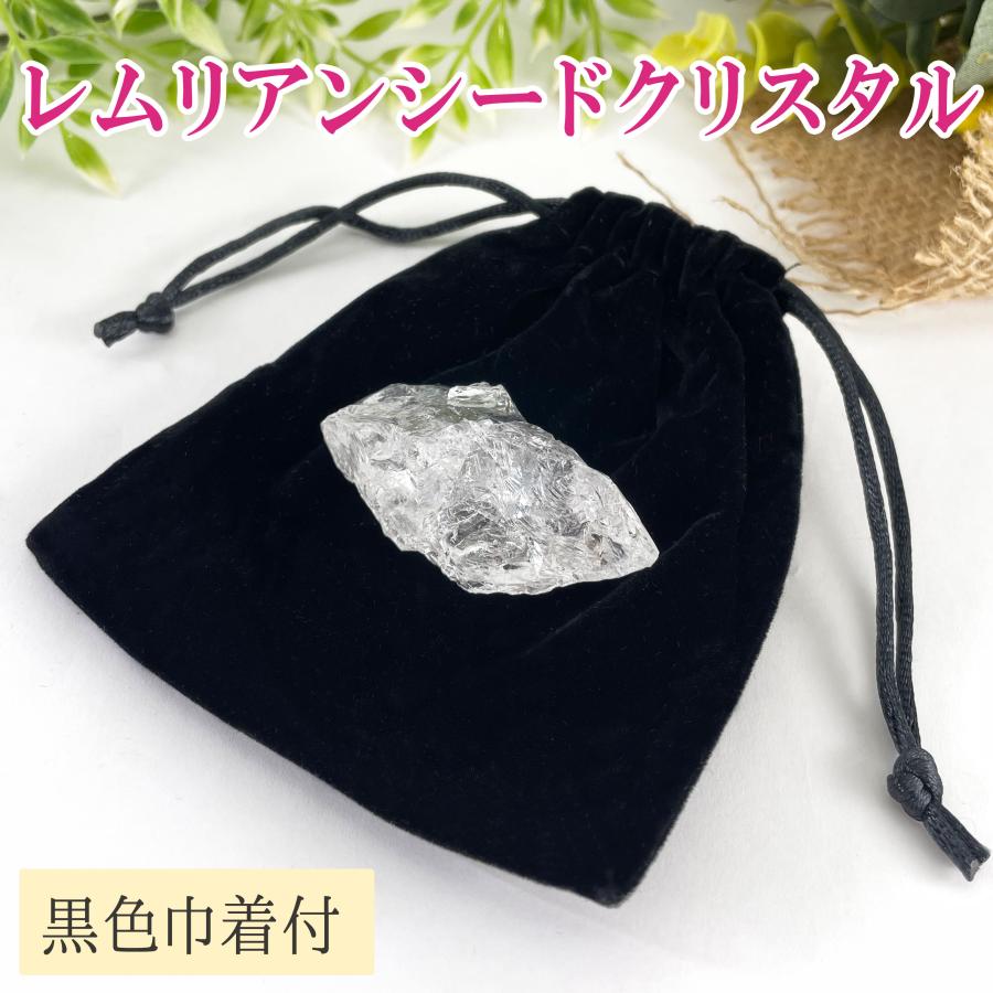 lemurian1ko