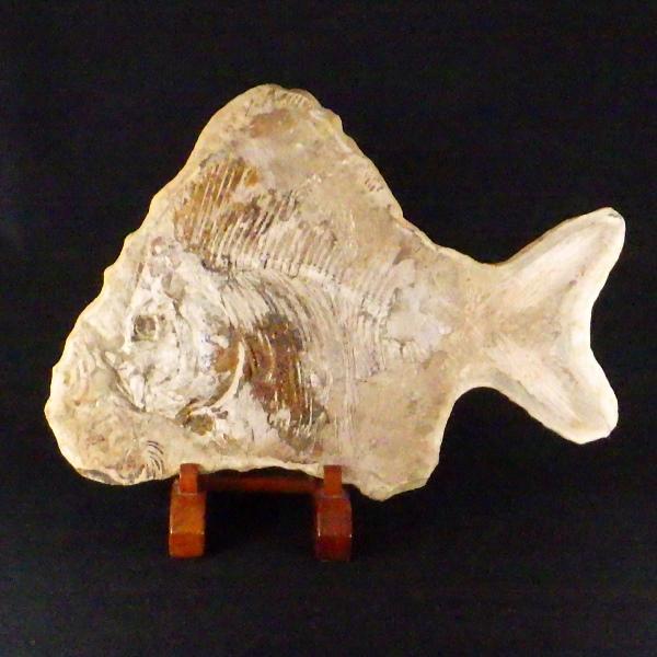 化石 魚類 魚 古代 パワーストーン 天然石 鑑賞石 原石 置物 オブジェ