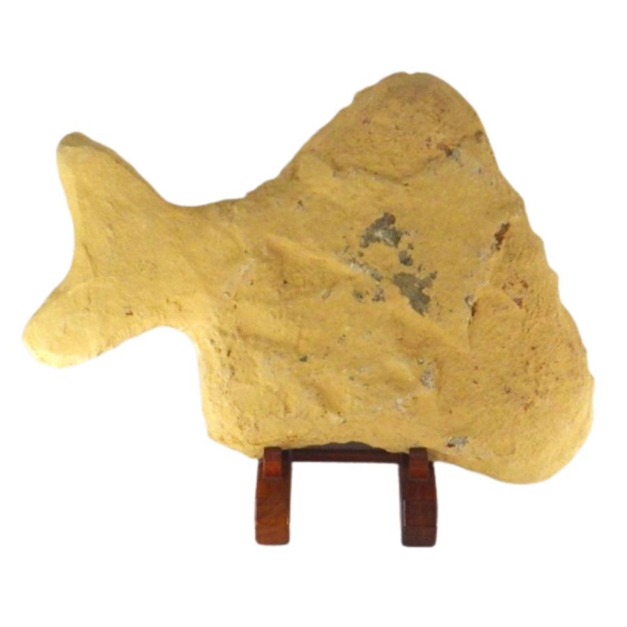 化石 魚類 魚 古代 パワーストーン 天然石 鑑賞石 原石 置物