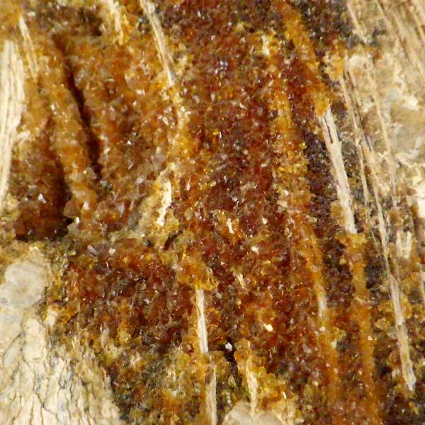 化石 魚類 魚 古代 パワーストーン 天然石 鑑賞石 原石 置物 オブジェ