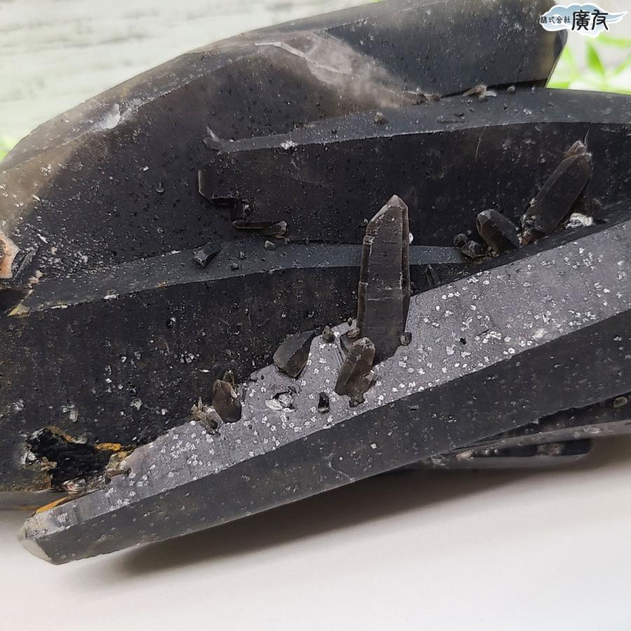 開運 モリオン 黒水晶 原石 魔除け パワーストーン 天然石 置物 信頼