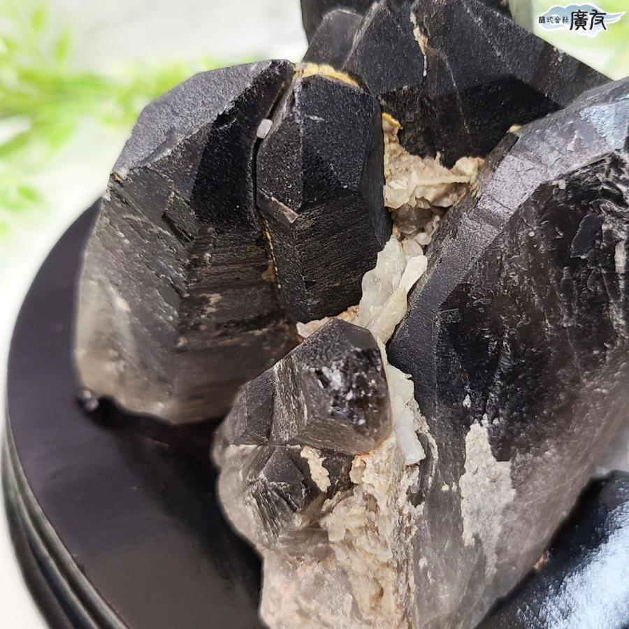 【希少】モリオン シトリン 共生 クラスター 原石 黒水晶 魔除け 金運 開運 モリオン 黒水晶 原石 魔除け パワーストーン 天然石 置物 信頼
