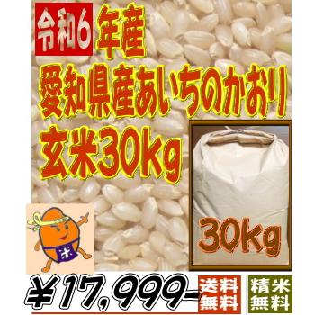 あいちのかおり 令和6年愛知県産 30kg 玄米か26kg 白米 精米無料 あいちのかおり 令和6年愛知県産 30kg 玄米か26kg 白米 精米無料
