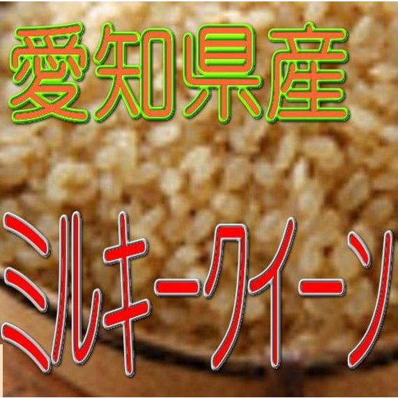 玄米 ミルキークイーン 5kg 令和4年産 愛知県産｜kowa-beikoku