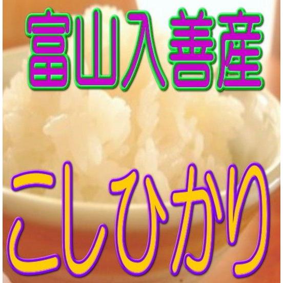 コシヒカリ 白米 入善産こしひかり 10kg 令和7年産 富山県産 : お米