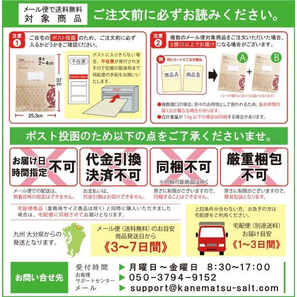 10周年記念イベントが マジカルスパイス 110g 詰め替え用 Pmajk Gov Pk