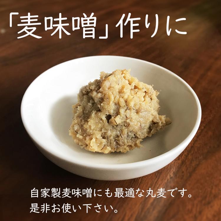 特選丸麦 5kg×5 計25kg / チャック付 国産 送料無料 : こわけや - 通販