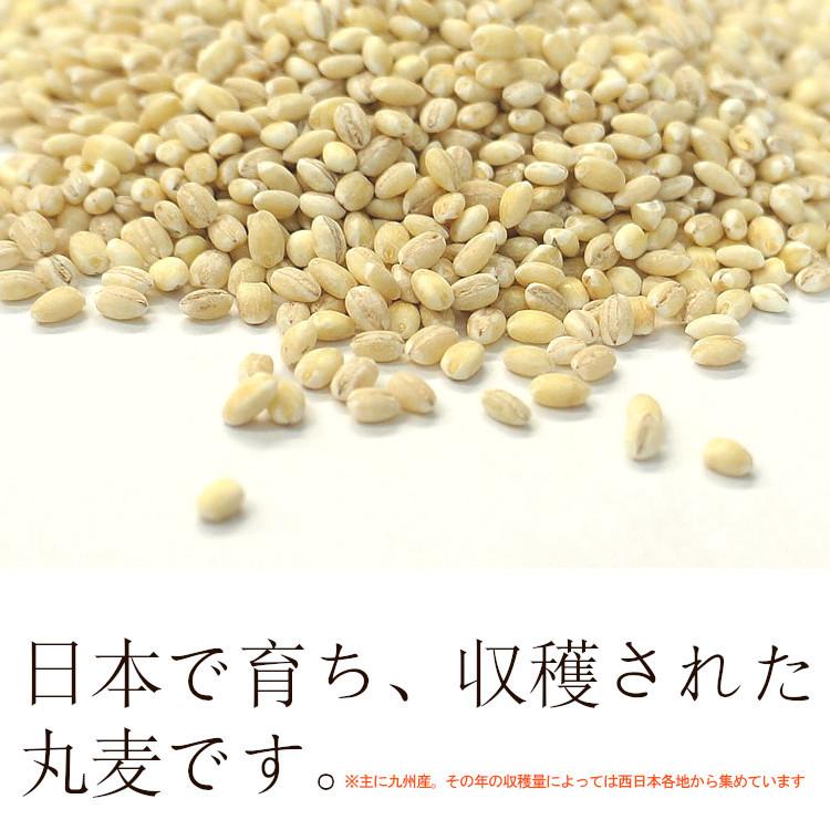 特選丸麦 5kg×5 計25kg / チャック付 国産 : こわけや - 通販 特選丸麦 5kg×5 計25kg / チャック付 国産 : こわけや - 通販