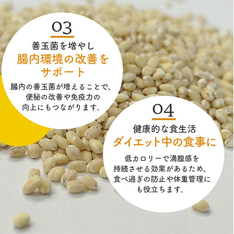 特選丸麦 5kg×5 計25kg / チャック付 国産 送料無料 : こわけや - 通販