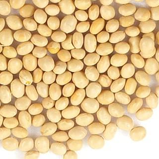 アメリカ産大豆 雪の華29.5kg / 約30kg 業務用サイズ : こわけや