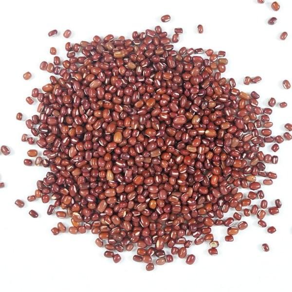 天津あずき 500g / チャック付 : こわけや - 通販 - Yahoo!ショッピング