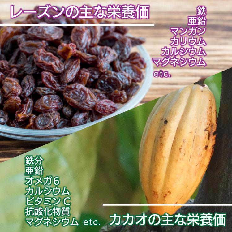 ＼芳醇／レーズンチョコボールミックス［チョコ＆ヨーグルト］500g×3（計1.5kg） 芳醇！／レーズンチョコボールミックス［チョコ＆ヨーグルト］500g