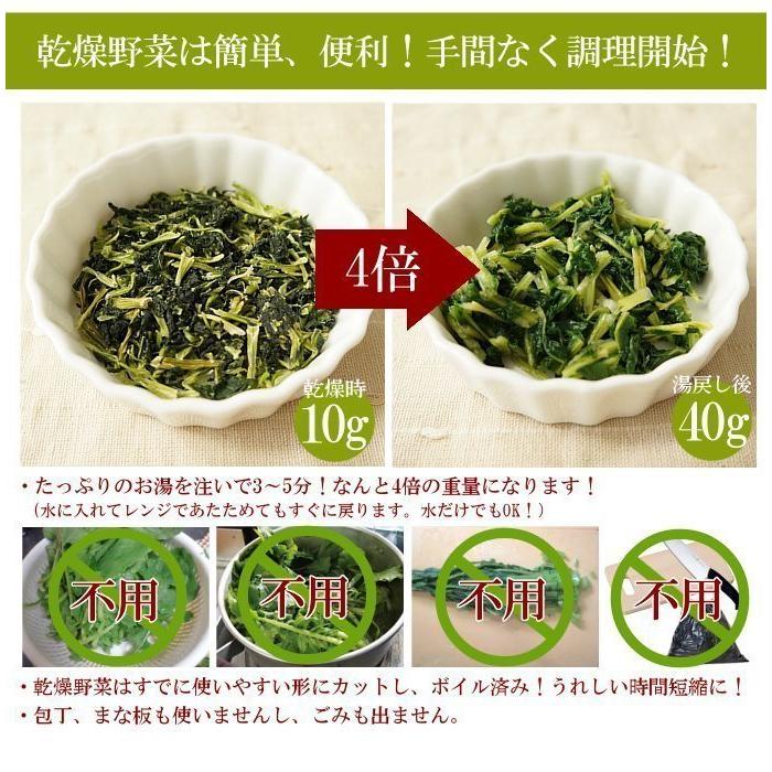 絶品 乾燥大根葉 1kg 3 Wantannas Go Id