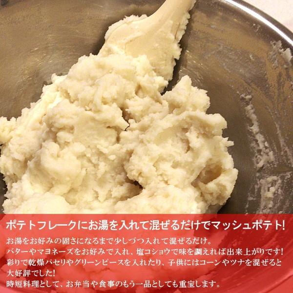 ポテトフレーク 1kg×10 計10kg / マッシュポテトの素_2