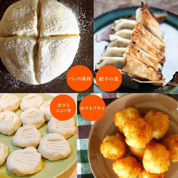 ポテトフレーク 1kg×10 計10kg / マッシュポテトの素_4