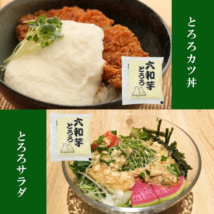 冷凍）国産 大和芋とろろ 40g×20 / クール便 : こわけや - 通販