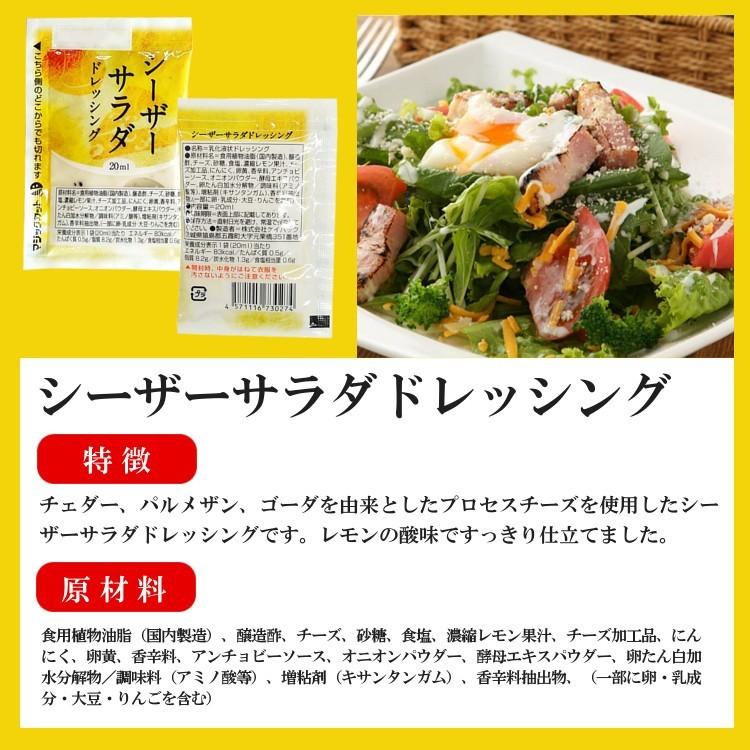 ☆シーザーサラダドレッシング プレミアムドレッシング シーザーサラダ 200ml 国内外の人気 ☆シーザーサラダドレッシング プレミアムドレッシング シーザーサラダ 200ml 国内外の人気
