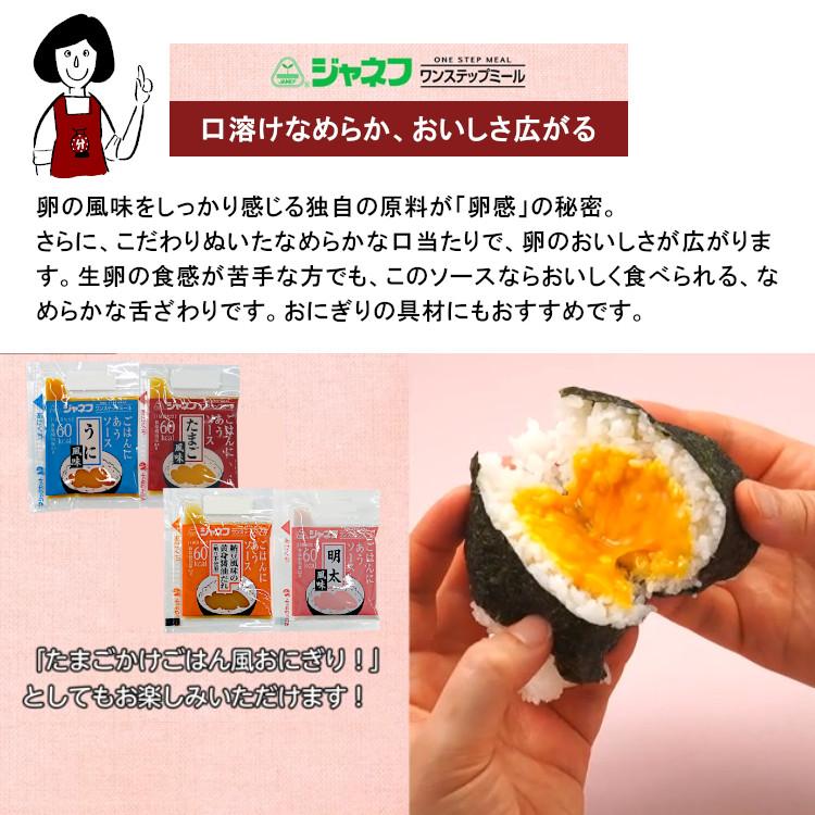ジャネフ ごはんにあうソース《たまご風味》10g×320袋 / たまご 高