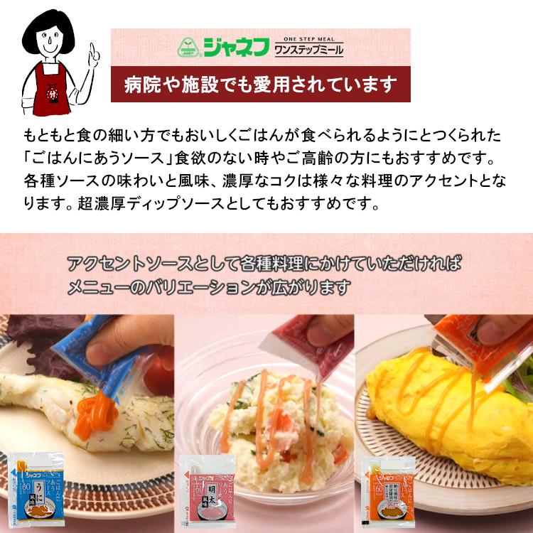 ジャネフ ごはんにあうソース《たまご風味》10g×40袋 / たまご 高
