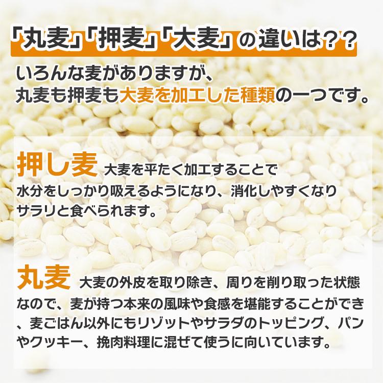 特選押麦 5kg×5 計25kg / チャック付 送料無料 大麦 国産 食物繊維 β