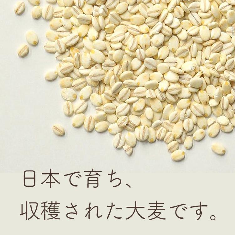 特選押麦 5kg×5 計25kg / チャック付 送料無料 大麦 国産 食物繊維 β